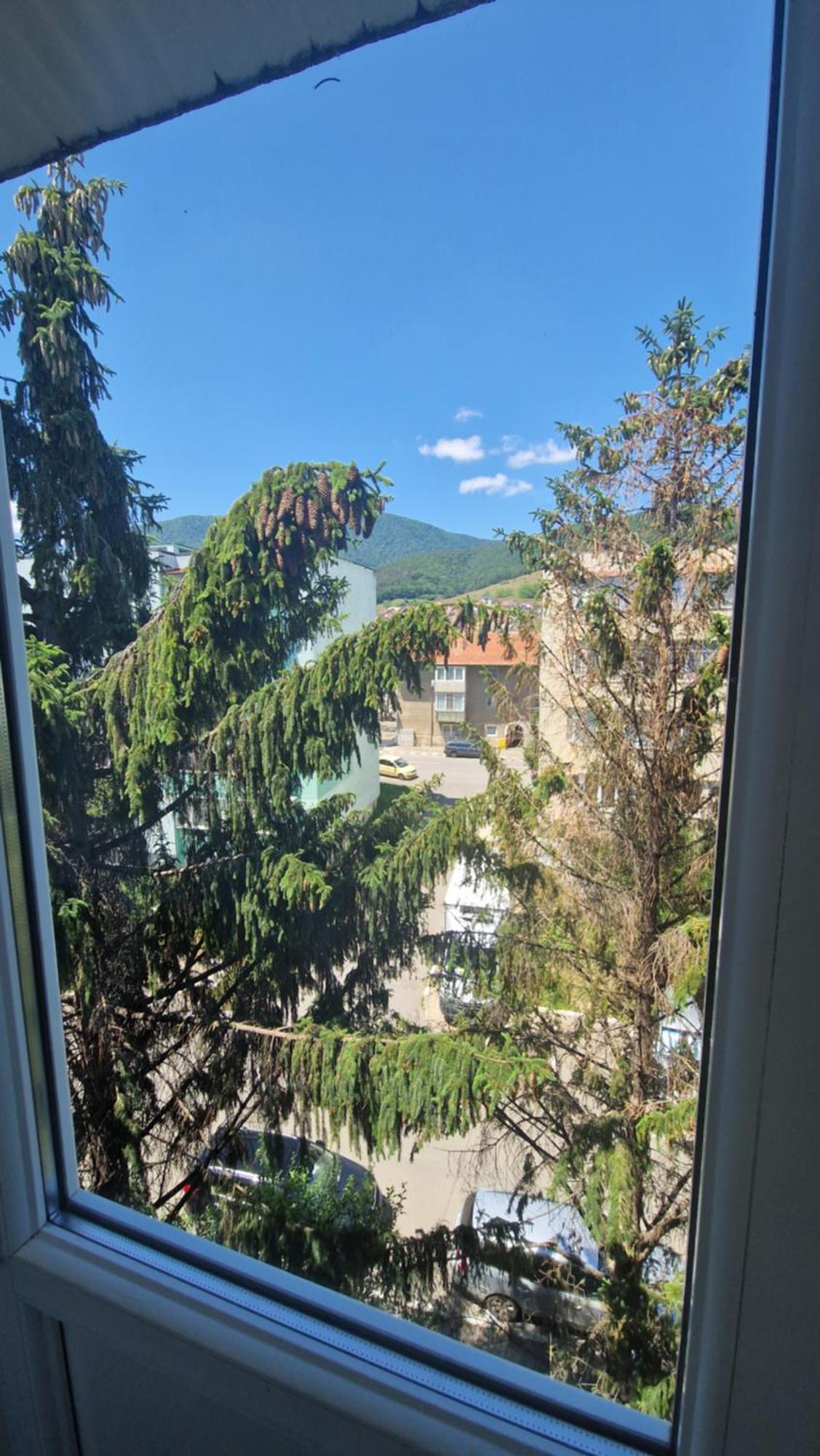 Apartament Coco Codlea Exterior foto